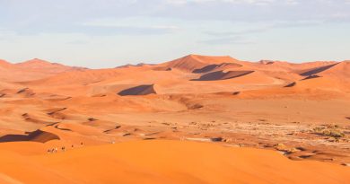 Ce probleme exista in desert?